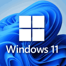 Windows 11 Professional OEM Key